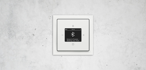 Busch-Radio Btconnect bei Gerd Schröder Elektroinstallation in Sondershausen